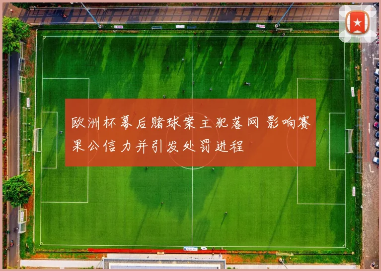 欧洲杯幕后赌球案主犯落网 影响赛果公信力并引发处罚进程