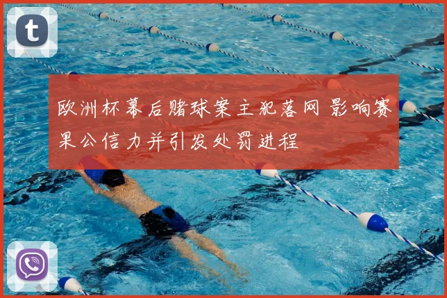 欧洲杯幕后赌球案主犯落网 影响赛果公信力并引发处罚进程