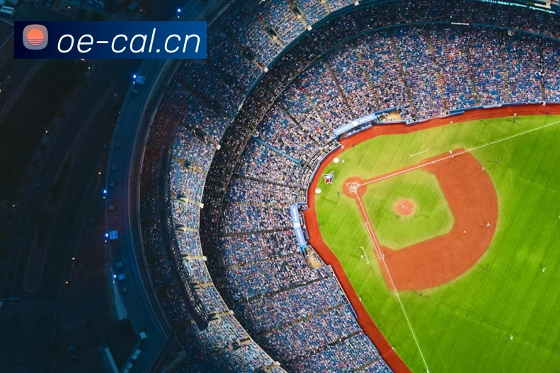 开云手机网页登录网页发展历程