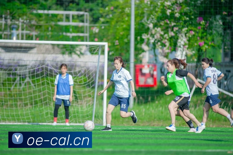 欧冠联赛赛程公布 小组赛阶段时间安排与焦点对阵一览